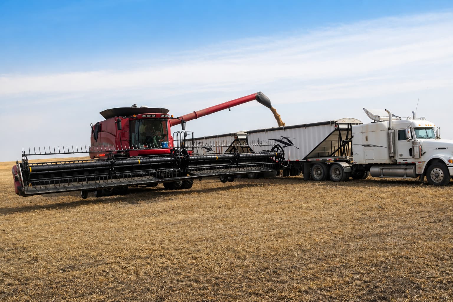Grain quality