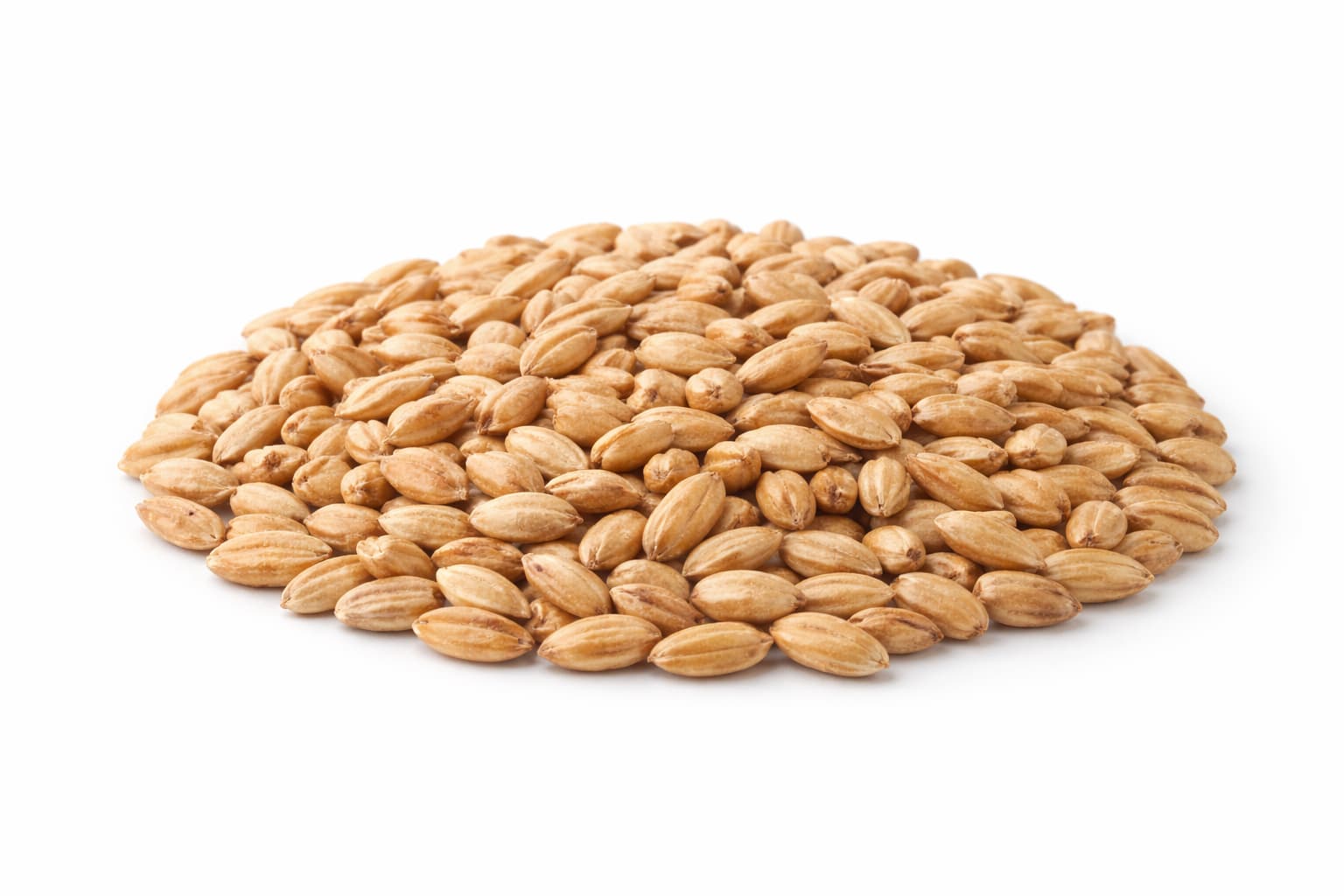 Spelt