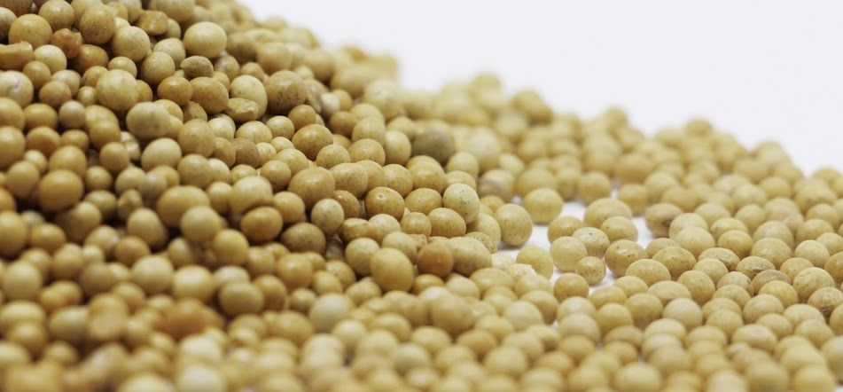 Soybeans