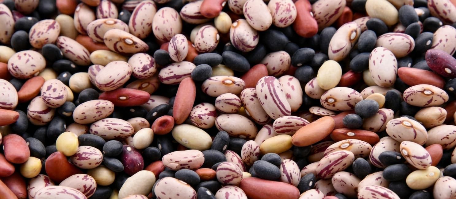 Cull Beans