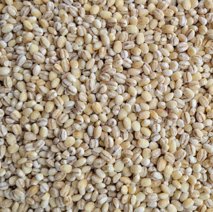 Pet Barley