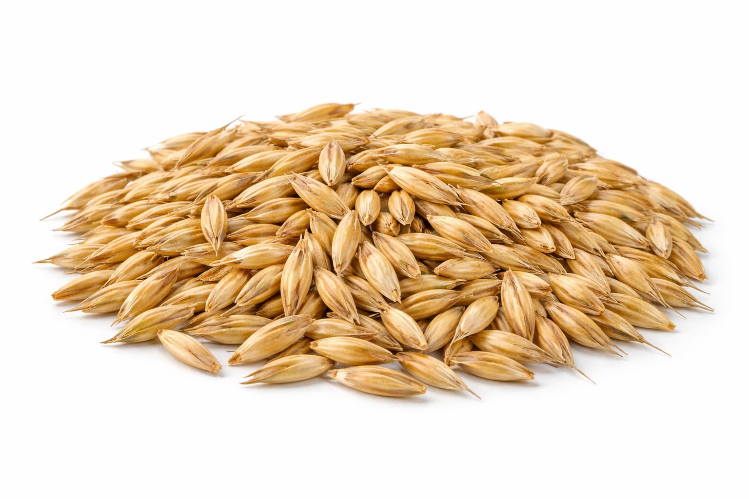Wild Oats