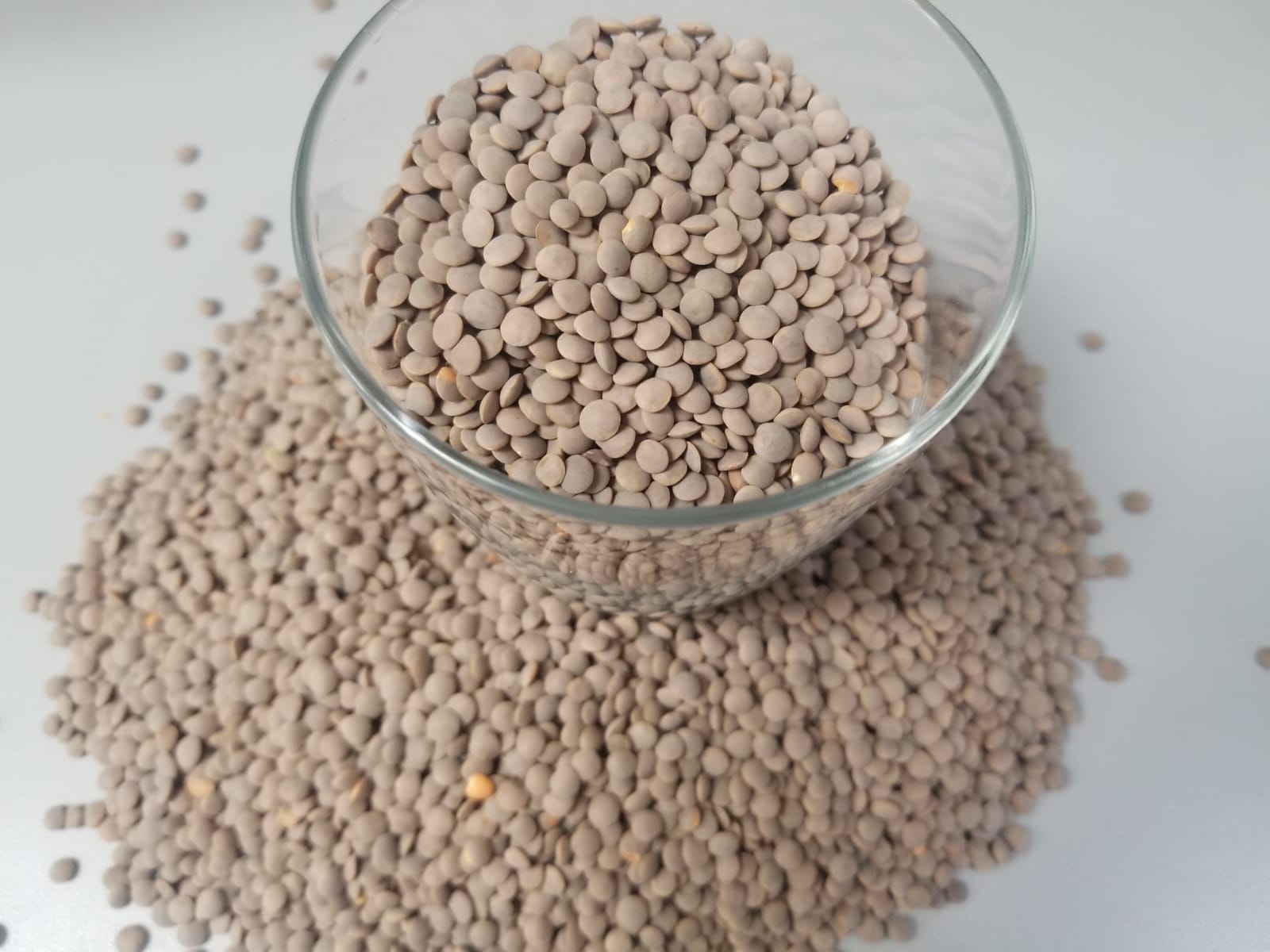 French Lentils