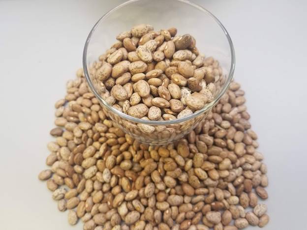 Pinto Beans