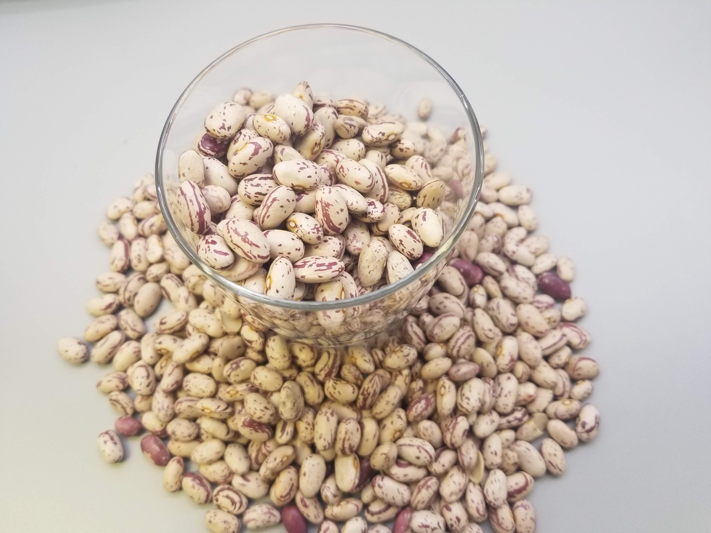 Cranberry Beans