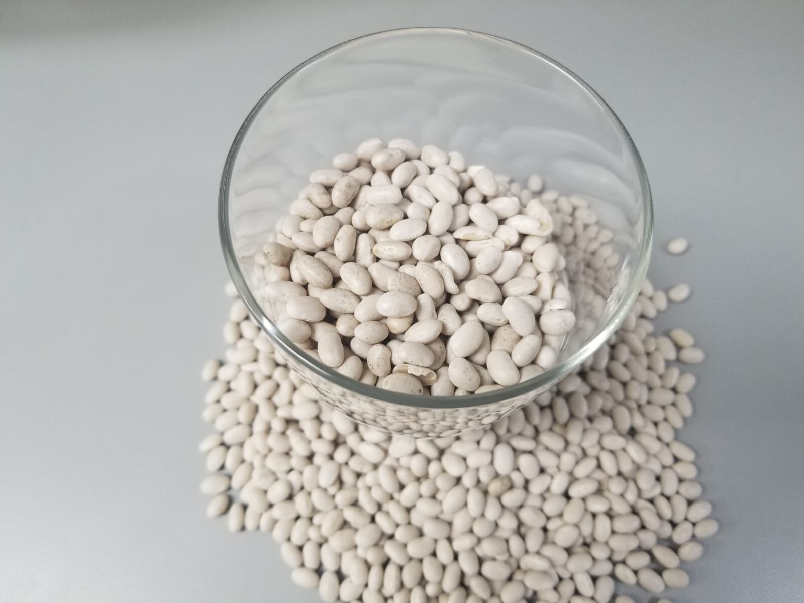 Navy Beans