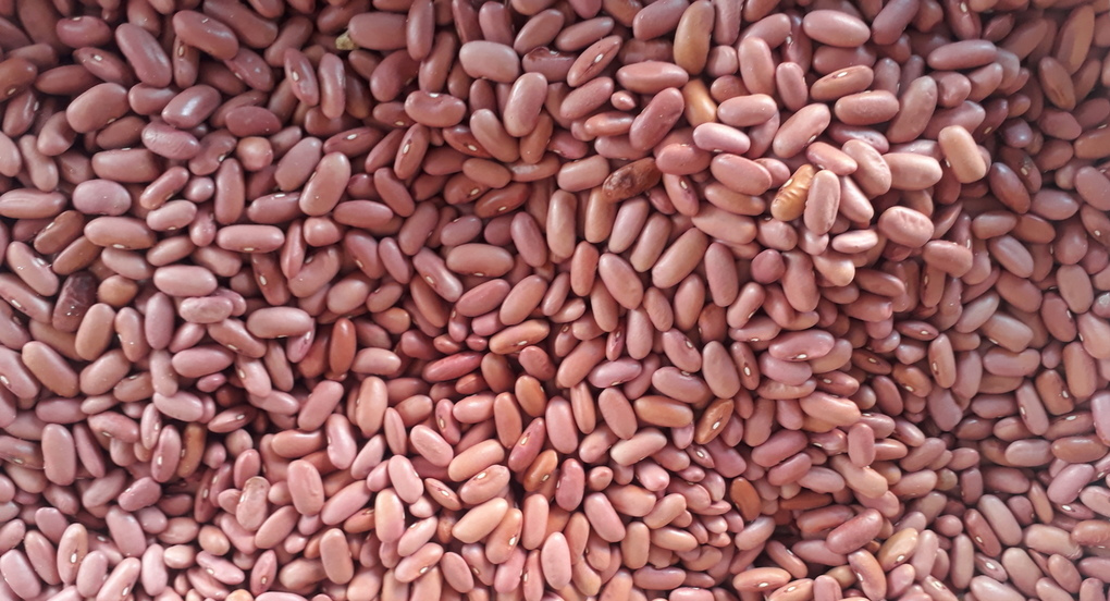 Light Red Kidney Beans