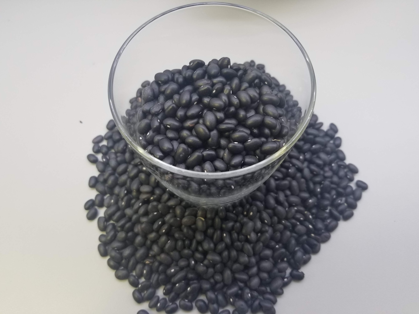 Black Beans