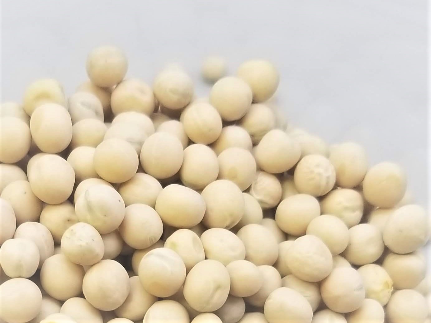 Whole Yellow Peas