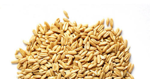 Oat Groats