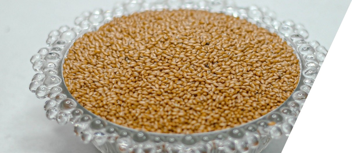 Flax Seeds