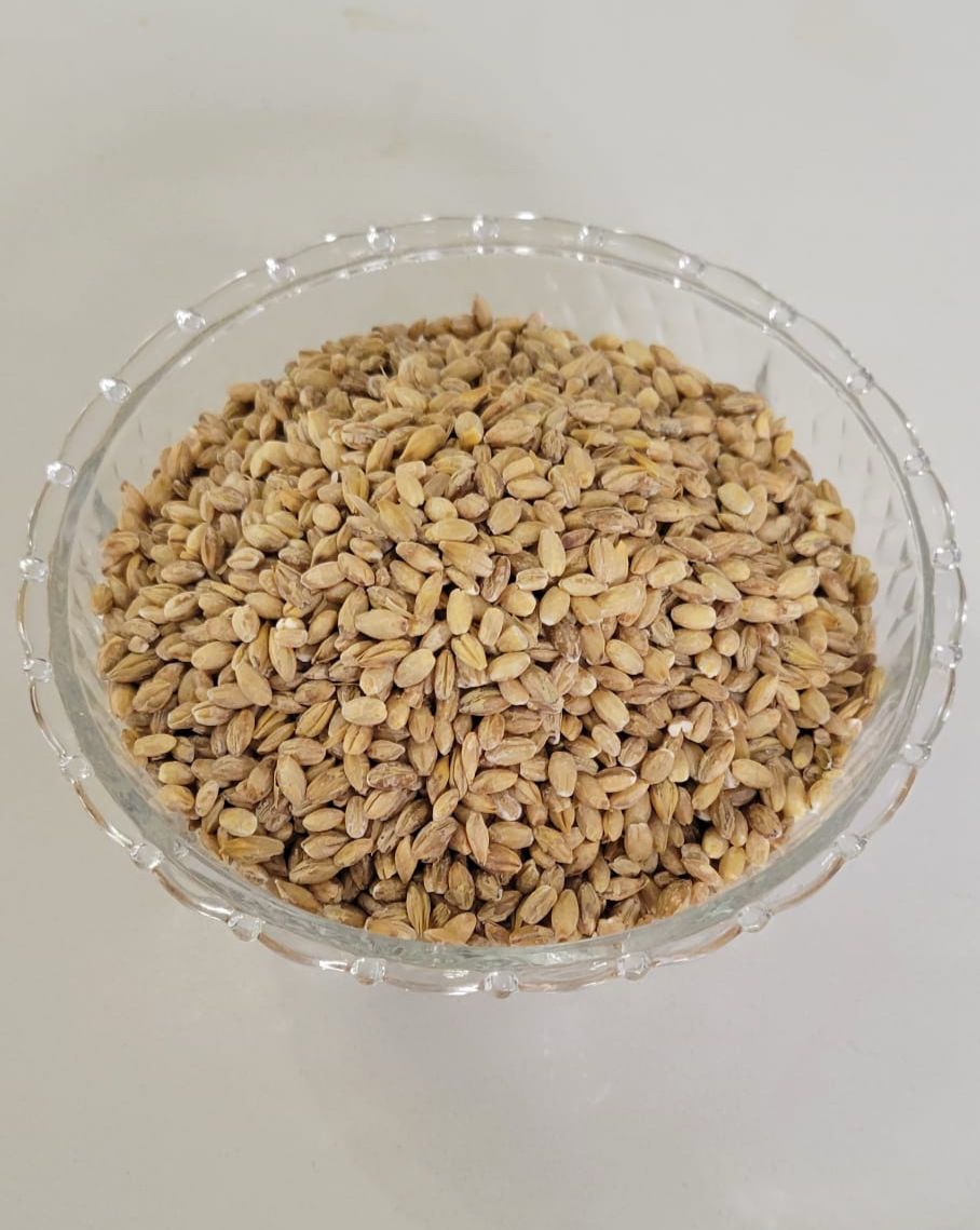 Barley