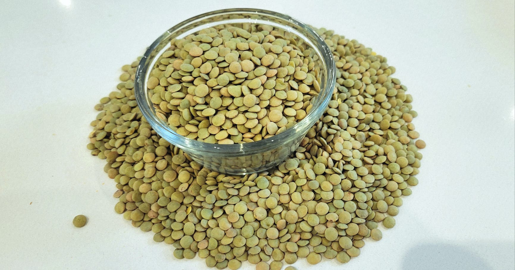 Richlea Lentils